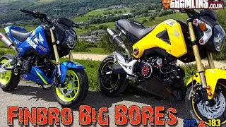 Honda Groms with Finbro 183cc & 212cc Big Bore kits