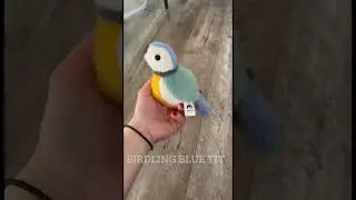 Jellycat Birdling Blue tit #11 in our collection ❤️❤️ #jellycat #cute #bird