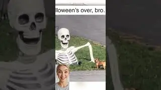 These Dogs Are Living Better Than Us 😂