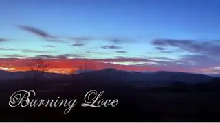 Burning Love - Jason Arnup
