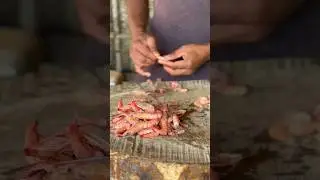 Red prawns cleaning 🦐 #prawns #cleaning #fish #love #trending #trendingshorts #tamil