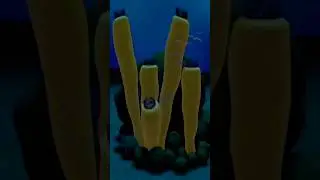 reproduction of sponges