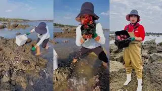 Ловля крабов и рыбы на побережье 🐋 Видео с рыбалкой #ловля #рыбалка #краб #охота