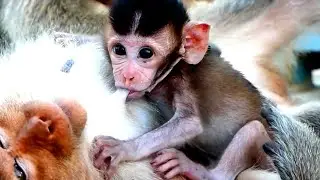 Million pity Mom Malika was weak health sleep on cement - but her don't forget take care Marto