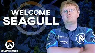 EnVy Overwatch - Welcome Seagull