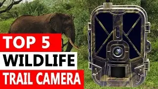 Top 5 Best Wildlife Trail Cameras On Aliexpress On Aliexpress