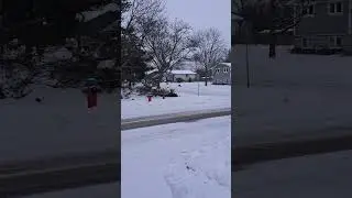 A Black Cat Spotted Near Cavendish Drive In Burlington Ontario 01/19/26