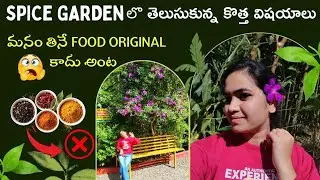 Spice garden లొ తెలిసిన కొత్త విషయాలు 🤫 | మనం తినే food original kadhu అంట🙄😱| kerala ♥️