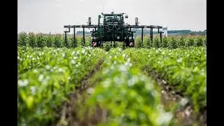Bioenergy for Rural Development - EurActiv Conference 2017