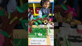 Life Cycle Of A Butterfly🦋 3D Model For School | Butterfly Life Cycle School Science Project🌸 #yt