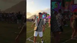 Zevra festival 2023