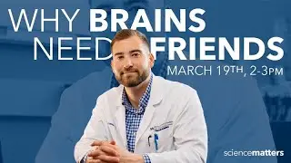 Why Brains Need Friends | Discussion with Dr. Ben Rein