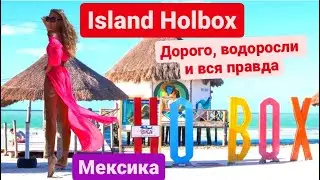 Holbox island, Mexico. Дорого, водоросли и вся правда. Экскурсия по трём островам. Остров Holbox!