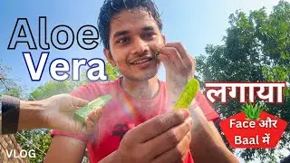 Fresh Aloe Vera Face & Hair Me Lagaya 😍 | Desi Natural Care Vlog