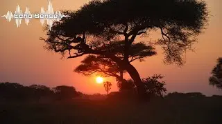 Trance for Heart & Soul &ndash; Inspirational Sound &ndash; Echo Sense Music
