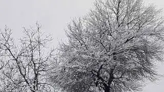 Snowfall murree