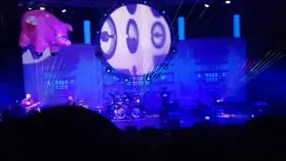 Pink Floyd Legend - Pigs (Three different ones) - Animals live in Roma