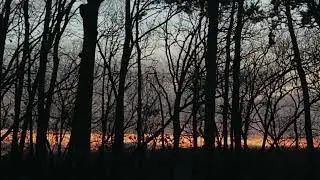 Derrek Cunningham - VOICES