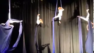 Ruccis Circus by the Sea - Jellyfish