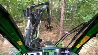 John Deere 1070E, H754, są dęby, są buki a nie ma lipy