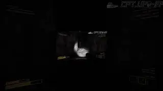 Attacked by Ghost #contentwarning #contentwarninggame #shorts #contentwarningclips