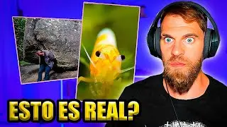 ⏰ 20 COSAS que NO SAB&Iacute;AS en 5 MINUTOS 😱 [ MARK MIRANDA REACCI&Oacute;N ]