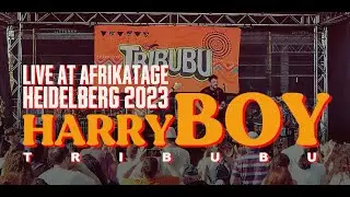 HARRY BOY - TRIBUBU - Live at Afrikatage 2023 Heidelberg
