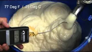 Crystallization of Bakery Shortening