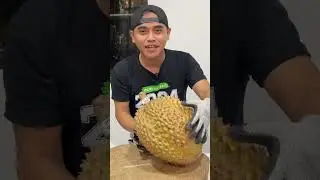 WOW DURIAN MONTONG JUMBO DENGAN BERAT 7,3KG #durian #durianmontong #masduren