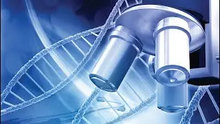 Major and trace element quantification of liquid and solid samples by ICP analysis