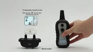 PATPET 301| Remote dog training collar instructions