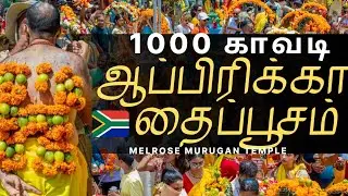 South Africa-வில் பிரம்மாண்ட தைப்பூசம்! 🇿🇦 How South African Tamils Celebrate kavadi