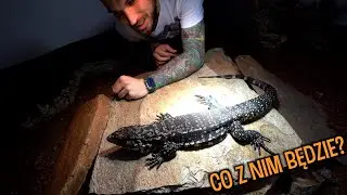 Co się stanie z Carlosem kiedy wyjadę??