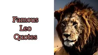 Famous Leo Quotes #zodiacsign #leoseason #leo #lion #astrology #astroloa