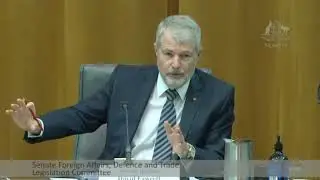 Defence Strategic Review, delays and reduced funding: Impact on Defence capability acquisitions