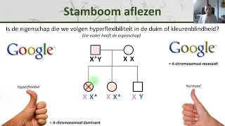 Bio - Stambomen - Maken en aflezen - Erfelijkheid #5