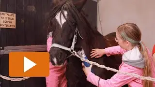 Paardenklas | Aeres VMBO Maartensdijk