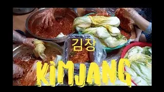 HOW TO MAKE KIMJANG | KIMCHI | KOREAN TRADITIONAL FOOD