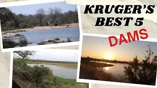 Kruger's Five Best Dams
