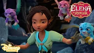 Sleeping Sunbird | Elena of Avalor | Disney Channel Africa
