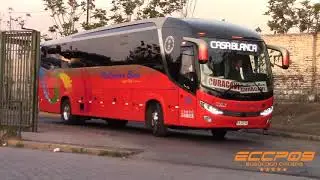 Comil Invictus 1050 / Scania / Pullman Bus