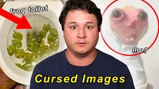 Pictures that are oddly terrifying