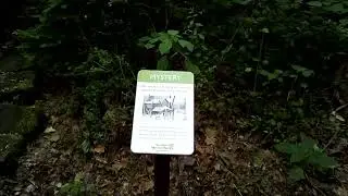 Deep Lock Quarry Cuyahoga Valley National Park