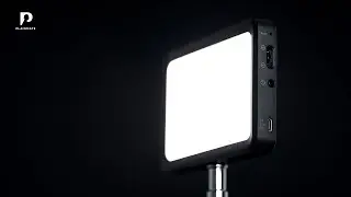 Das BESTE Licht f&uuml;r Content Creator unter 100&euro;