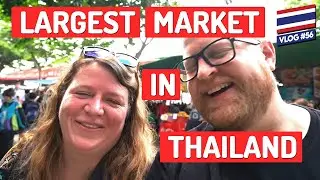 56 | CHATUCHAK WEEKEND MARKET BANGKOK 🇹🇭 Full Time Family Travel