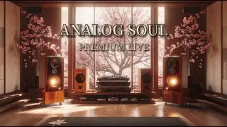 2026 Spring Jazz | Urban Smooth Jazz & High-End Audio — Sakura & Silky Saxophone