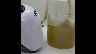 Dónde comprar Trichoderma en Ecuador 