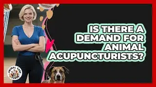 Is There A Demand For Animal Acupuncturists? - Animal Care Jobs