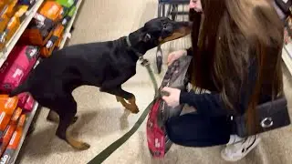 My Dog's First Day Out