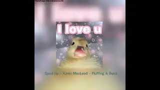 Sped Up - Kevin Macleod - Fluffing A Duck 🦆